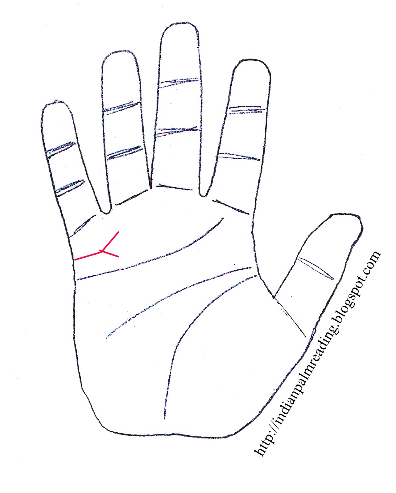 Marriage Lines In Palmistry With Images | Palm Reading | INDIAN ...